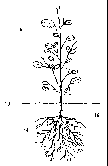 Une figure unique qui représente un dessin illustrant l'invention.